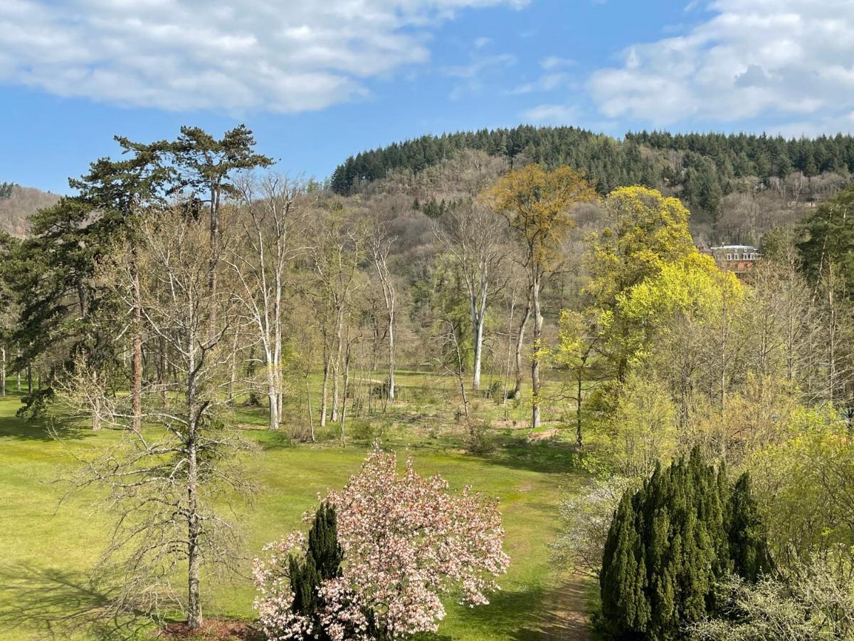 Gastehaus Schloss Saareck Mettlach Εξωτερικό φωτογραφία